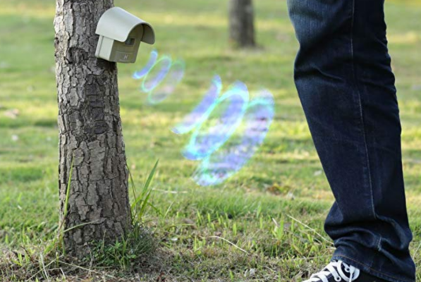 The Different Types Of Driveway Security Alarms For Your Home - 2024 ...