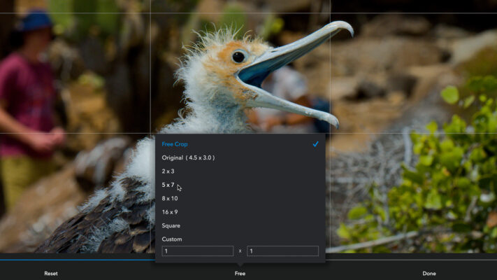 Aspect Ratio And Cropping What You Need To Know Ilfc Aspect Ratio And Cropping What You Need To Know Ilfc